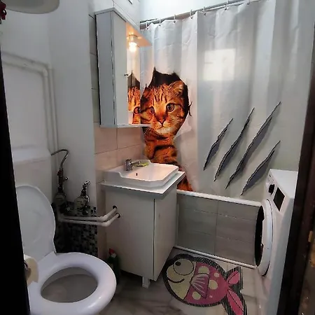 Lake And Park View Pensiune Bucureşti