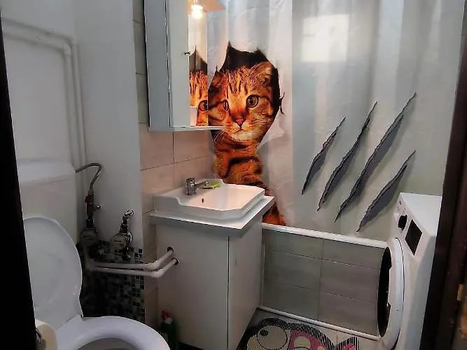 Lake And Park View Vendégház Bukarest